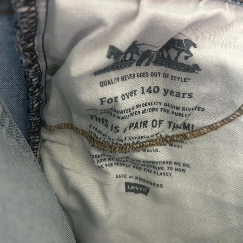 Levis levi strauss
